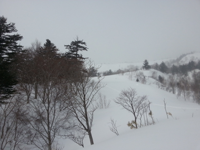 20130214_102108.jpg