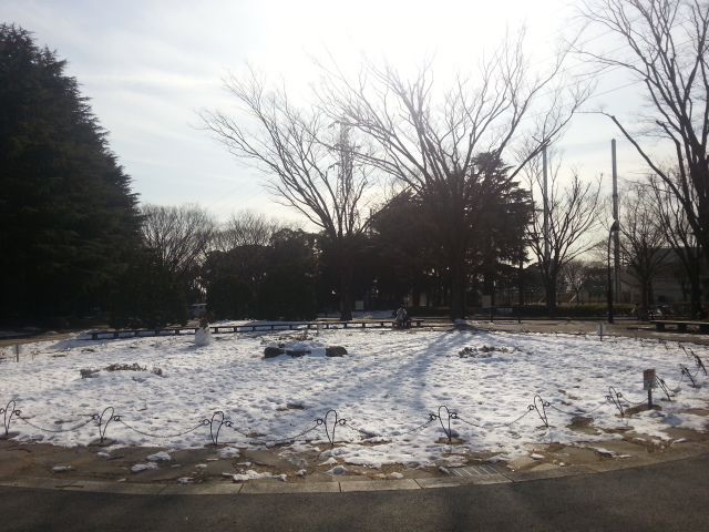 20130121_130716.jpg