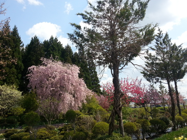 20140506_094924.jpg