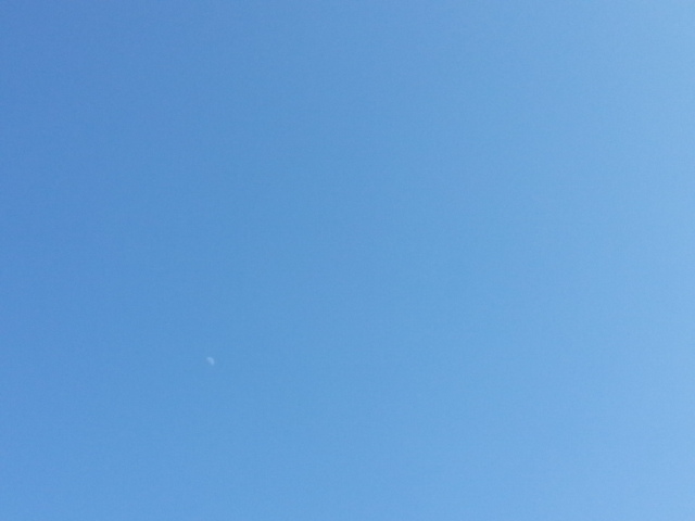 20150225_142716.jpg