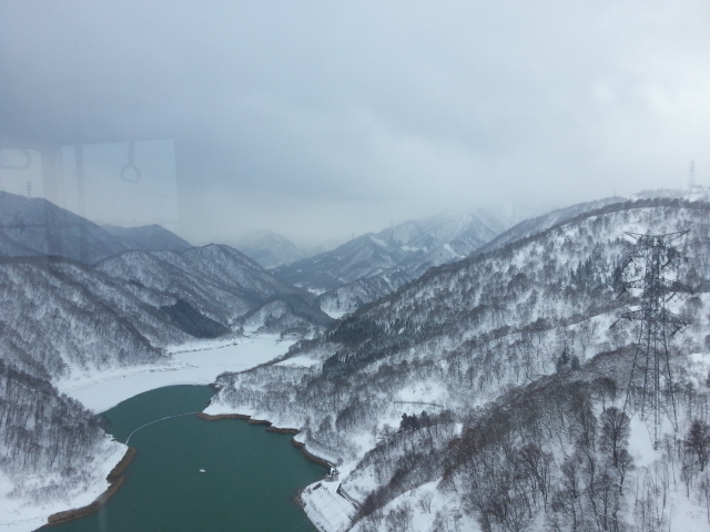 20130119_114255.jpg