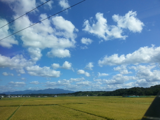 20130917_100615.jpg