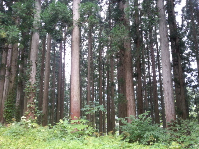 20140907_064333.jpg