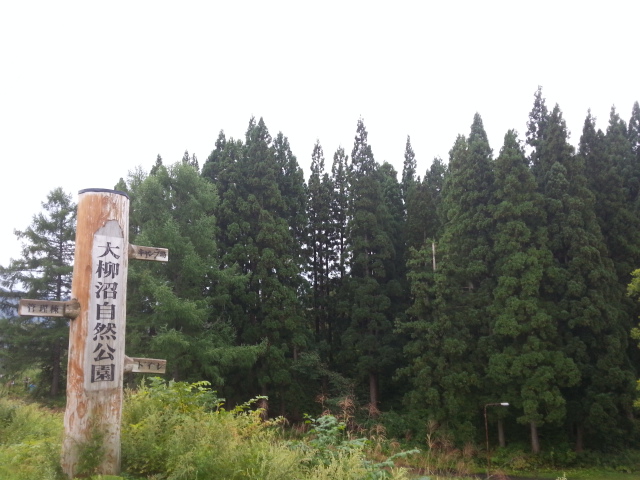 20140907_064519.jpg